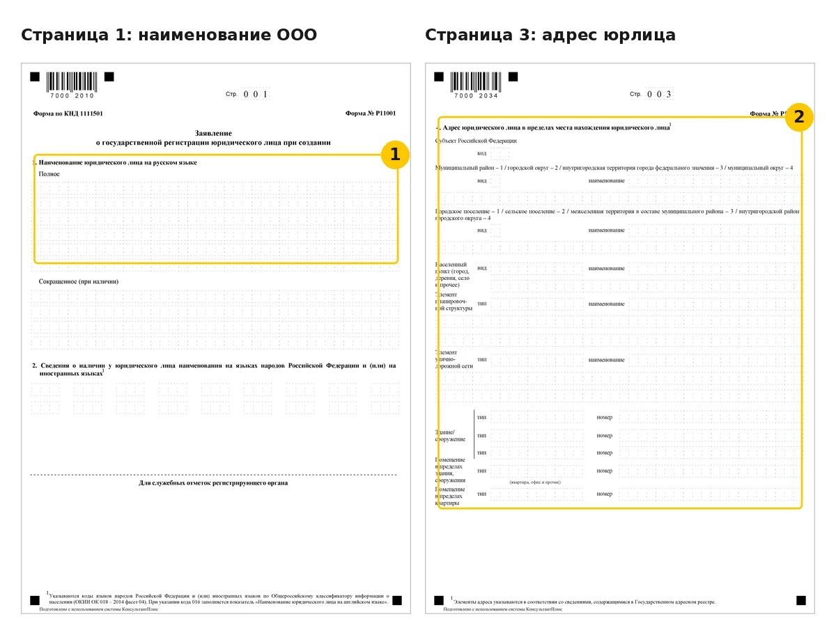Первый лист формы Р11001 с подсвеченными полями наименования и адреса